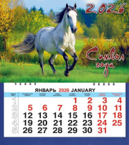 Календарь МАЛЫЙ  200*240мм на 2026г. СГ_Серебрянная лошадь