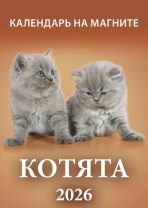 Календарь на магните отрывной  96*135мм на 2026г.  Котята