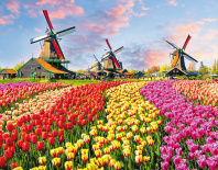 Календарь Трио металл+объем 295*720мм на 2026г. Цветочное поле Календарь Трио металл+объем 295*720мм на 2026г. Цветочное поле