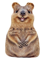 Игрушка антистресс 36см "Квокка"