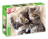 Пазлы  160 элементов  330*220мм.  "Мяу-Котики"