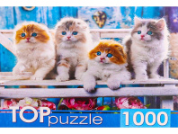 Пазлы 1000 элементов  685*480мм. "Котята скоттиш фолд"