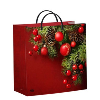 Пакет 30*30см (140мк) с пластиковой ручкой "Калина красная" мягкий пластик