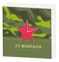 Салфетка "ПС Звезда" 33*33см, 20 шт., 2-х слойная