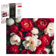 Мозаика алмазная по номерам на холсте 30*40см "Красные и белые пионы" с подрамником