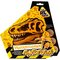 Набор для опытов Re-Агенты "Увлекательная археология"