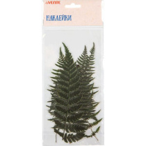 Декор наклейки для творчества "deVENTE. Гербарий. Листья Папоротника" до10x20 см, ПВХ, ассорти