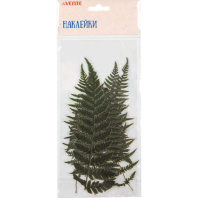 Декор наклейки для творчества "deVENTE. Гербарий. Листья Папоротника" до10x20 см, ПВХ, ассорти