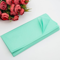 Бумага тишью 50*66см, 14гр/м2, Мята, 10шт/уп Бумага тишью 50*66см, 14гр/м2, Мята, 10шт/уп