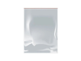 Пакет на молнии Zip Lock 25*30 (30мкм)