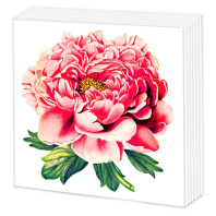 Салфетки бумажные 50л. 24*24см  Пионы, 1слой