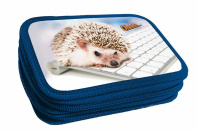 Пенал 2 отд. (205*125*40) молния, лам.картон "Ежик на клавиатуре"