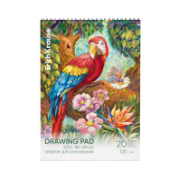 Альбом для рисования на спирали ErichKrause Попугай, А4, 20 листов, микроперфорация