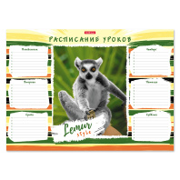 Расписание уроков ErichKrause Lemur Style, А3 Расписание уроков ErichKrause Lemur Style, А3