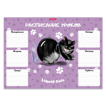 Расписание уроков ErichKrause Жидкие коты, А3