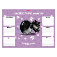Расписание уроков ErichKrause Жидкие коты, А3 Расписание уроков ErichKrause Жидкие коты, А3