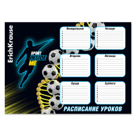 Расписание уроков ErichKrause Sport DNA, А3 Расписание уроков ErichKrause Sport DNA, А3