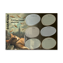 Расписание уроков ErichKrause Вig City Cats, А4