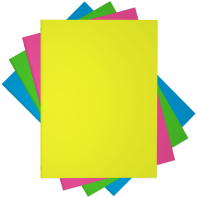 Тетрадь общая на кольцах ErichKrause Neon, А4, 80 листов, клетка, ламинация глянцевая, структурное тиснение "лён"