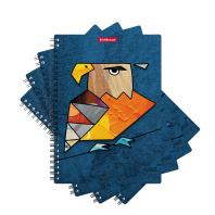 Тетрадь общая с пластиковой обложкой на спирали ErichKrause Birds, ассорти, А5, 80 листов, клетка Тетрадь общая с пластиковой обложкой на спирали ErichKrause Birds, ассорти, А5, 80 листов, клетка