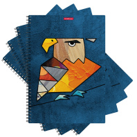 Тетрадь общая с пластиковой обложкой на спирали ErichKrause Birds, ассорти, А4, 80 листов, клетка Тетрадь общая с пластиковой обложкой на спирали ErichKrause Birds, ассорти, А4, 80 листов, клетка