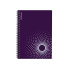 Тетрадь общая с пластиковой обложкой на спирали ErichKrause Marsalа, фиолетовый, А5, 80 листов, клетка Тетрадь общая с пластиковой обложкой на спирали ErichKrause Marsalа, фиолетовый, А5, 80 листов, клетка