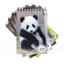 Блокнот на спирали ErichKrause Пушистики, А6, 80 листов, клетка_MIX-PACK