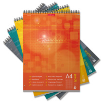 Блокнот на спирали ErichKrause Spiralblock, А4, 80 листов, клетка, перфорация, микроперфорация, твердая подложка_MIX-PACK