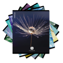 Тетрадь общая ученическая ErichKrause Макромир, 96 листов, клетка, глянцевая ламинация_MIX-PACK