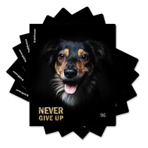 Тетрадь общая ученическая ErichKrause Собаки, 96 листов, клетка, матовая ламинация_MIX-PACK