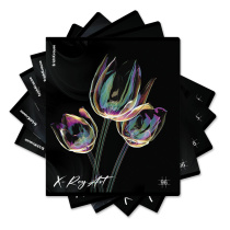 Тетрадь общая ученическая ErichKrause X-Ray Art, 96 листов, клетка, голографическая ламинация_MIX-PACK