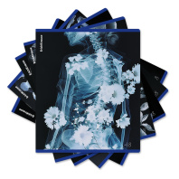 Тетрадь общая ученическая ErichKrause Flower Ray, 48 листов, клетка, металлизированный голографический картон_MIX-PACK