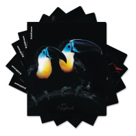 Тетрадь общая ученическая ErichKrause Attention, 48 листов, клетка, матовая ламинация+выборочный УФ-лак_MIX-PACK