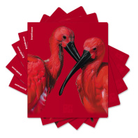 Тетрадь общая ученическая ErichKrause Scarlet, 48 листов, клетка, ламинация soft-touch+выборочный УФ-лак_MIX-PACK