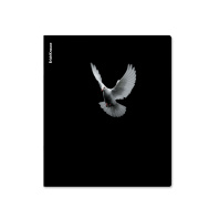 Тетрадь общая ученическая ErichKrause High Fly, 48 листов, клетка