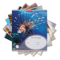 Тетрадь школьная ученическая ErichKrause Подводный мир, 24 листа, линейка (в плёнке по 10 шт.)_MIX-PACK