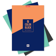 Тетрадь общая ученическая ErichKrause Color Block, А4, 96 листов, клетка