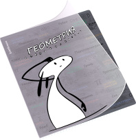 Тетрадь общая ученическая с пластиковой обложкой на скобе ErichKrause Чубрик, Геометрия, 48 листов, клетка