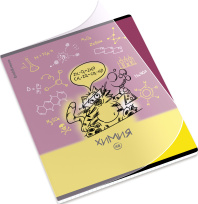 Тетрадь общая ученическая с пластиковой обложкой на скобе ErichKrause Котоформулы, Химия, 48 листов, клетка