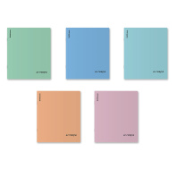 Тетрадь общая ученическая с пластиковой обложкой на скобе ErichKrause Dream, Алгебра, 48 листов, клетка_MIX-PACK