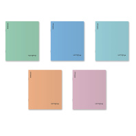 Тетрадь общая ученическая с пластиковой обложкой на скобе ErichKrause Dream, История, 48 листов, клетка_MIX-PACK