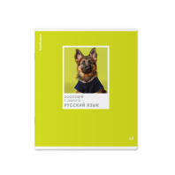 Тетрадь общая ученическая ErichKrause DogTone, Русский язык, 48 листов, линейка, выборочный УФ-лак Тетрадь общая ученическая ErichKrause DogTone, Русский язык, 48 листов, линейка, выборочный УФ-лак
