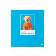 Тетрадь общая ученическая ErichKrause DogTone, Английский язык, 48 листов, клетка, выборочный УФ-лак Тетрадь общая ученическая ErichKrause DogTone, Английский язык, 48 листов, клетка, выборочный УФ-лак