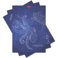 Тетрадь общая ученическая с пластиковой обложкой на скобе ErichKrause Galaxy, Mixed Reality, ассорти, А4, 48 листов, клетка