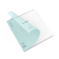 Тетрадь школьная ученическая с пластиковой обложкой на скобе ErichKrause Классика CoverPrо Pastel fizzy, мятный, А5+, 12 листов, линейка