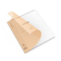 Тетрадь школьная ученическая с пластиковой обложкой на скобе ErichKrause Классика CoverPrо Neon fizzy, оранжевый, А5+, 18 листов, клетка