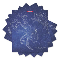 Тетрадь общая ученическая с пластиковой обложкой на скобе ErichKrause Galaxy, Mixed Reality, ассорти, А5+, 48 листов, клетка