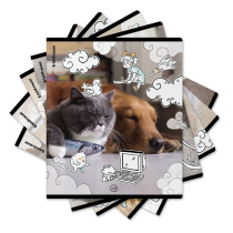 Тетрадь общая ученическая с пластиковой обложкой на скобе ErichKrause Dream Cat, А5+, 48 листов, клетка_MIX-PACK