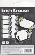 Наклейки на тетрадь ErichKrause ДНК спорта, 3 л., в пакете с европодвесом
