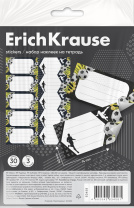 Наклейки на тетрадь ErichKrause Sport DNA, 3 листа, в пакете с европодвесом
